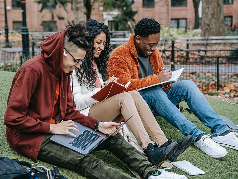 a group of Black students studying outside on the grass